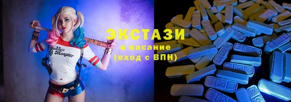 мет Алексин