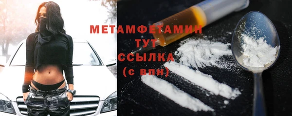 мет Алексин