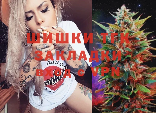 мет Алексин