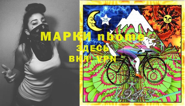 мет Алексин