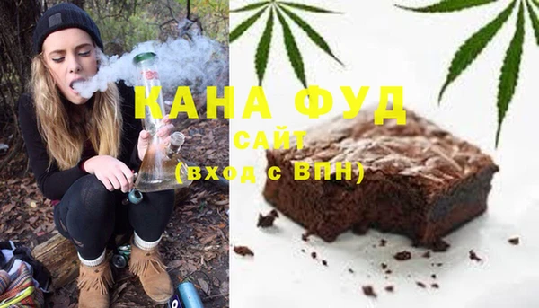 мет Алексин