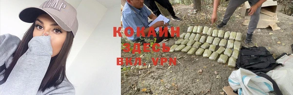 спиды Алзамай