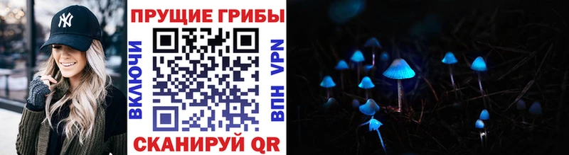 нарко площадка как зайти Поронайск Псилоцибиновые грибы GOLDEN TEACHER